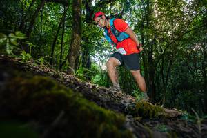 BIB: 172
                            <button type="button" onclick="openModal(16009572)" class="btn btn-primary btn-sm float-right btn-popup" data-toggle="modal" data-target=".modal-high-quality">
                        <i class="fas fa-shopping-cart"></i> Add to Cart
                    </button>
                                            <button type="button" onclick="isThisMe(16009572, true)" class="btn btn-success btn-sm float-right btn-popup btn-isme hidden" data-toggle="tooltip" data-placement="bottom" title="นี่คือรูปของคุณใช่ไหม คลิกที่นี่เพื่อเอาเข้าอัลบั้ม">
                        <i class="fas fa-plus"></i> Add to album
                    </button>
                    <button type="button" onclick="isThisMe(16009572, false)" class="btn btn-warning btn-sm float-right btn-popup btn-isnotme hidden">
                        <i class="fas fa-ban"></i> Remove from album
                    </button>